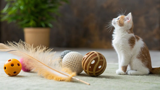 What Toys Are Good For Cats? Your Playtime Guide