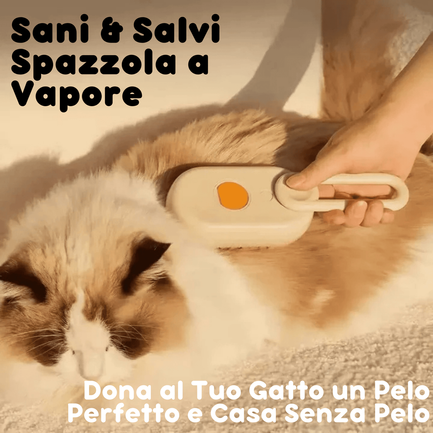 Spazzola a Vapore per la cura del pelo del gatto