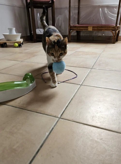 Kosketuksella aktivoitu äänipallo