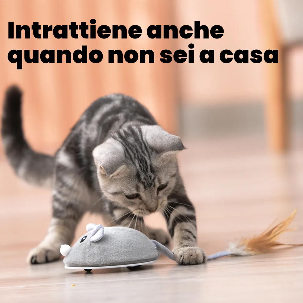 Magic Mouse - Bestseller