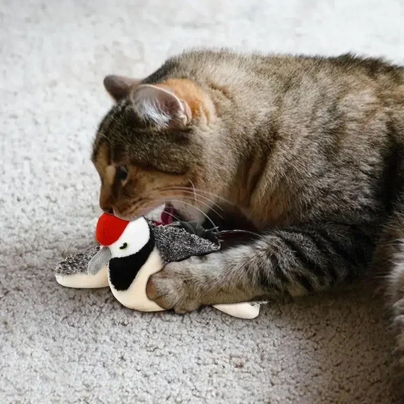 Flappy Sparrow Interaktives Katzenspielzeug