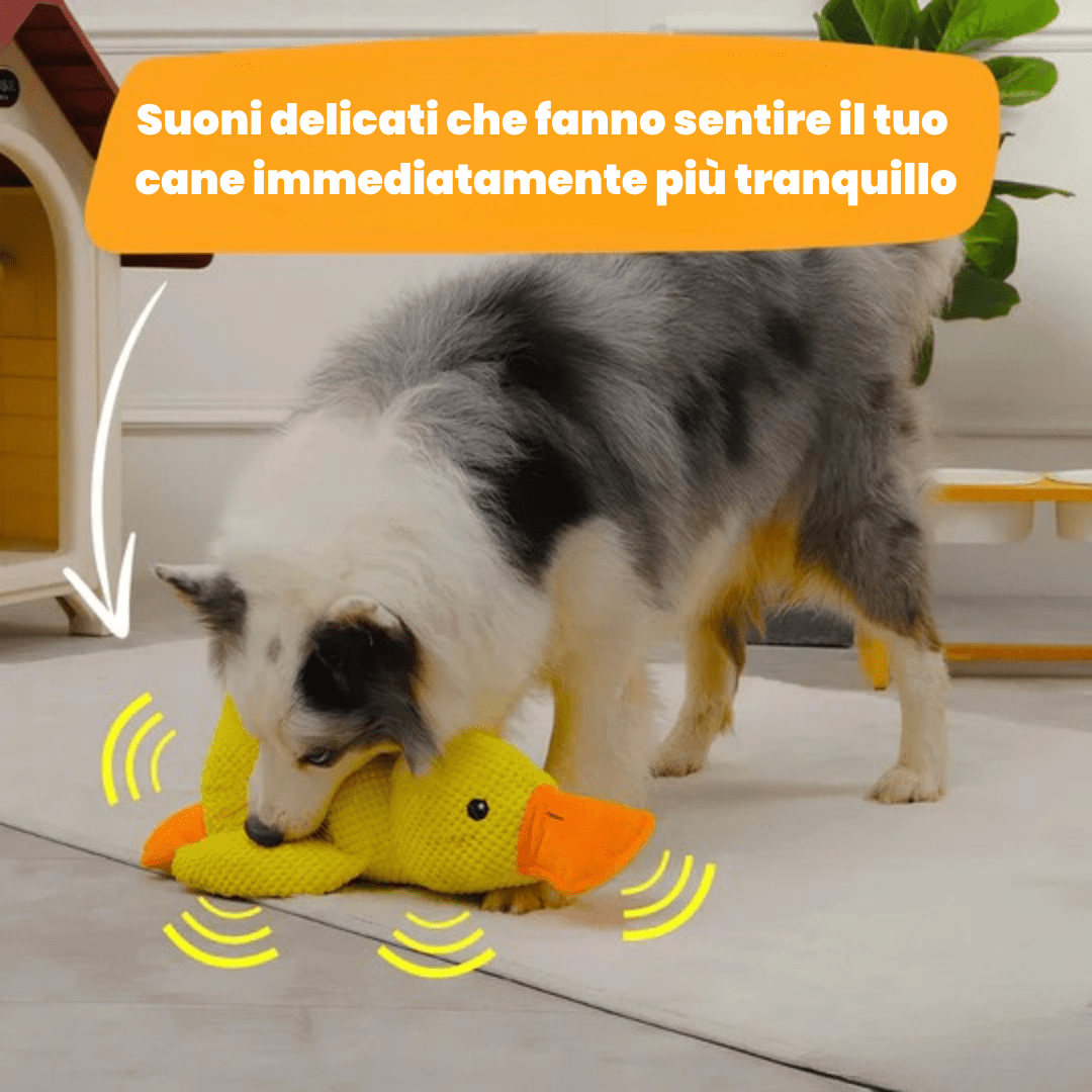 Anti Stress Duck – Bestseller