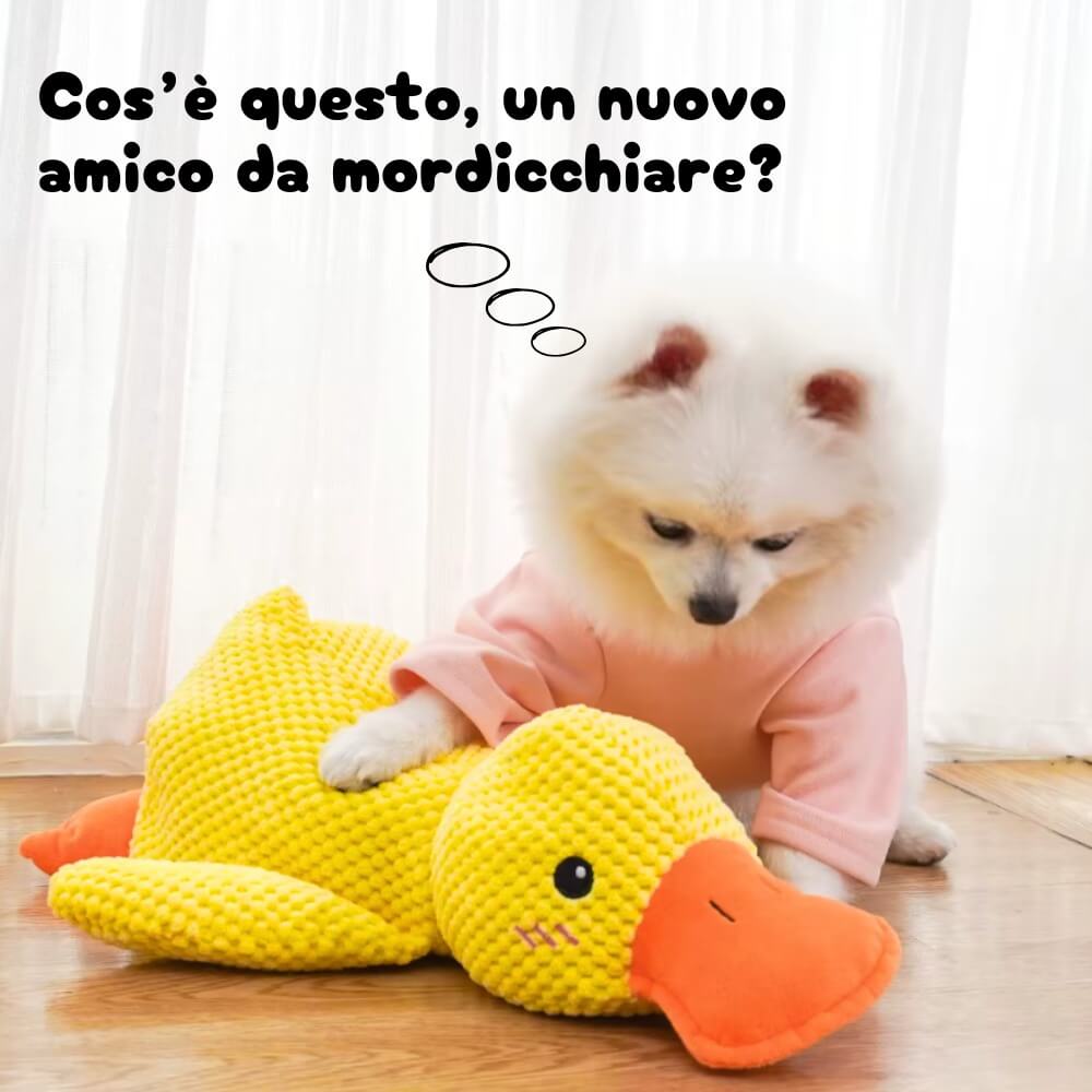 Anti Stress Duck – Bestseller