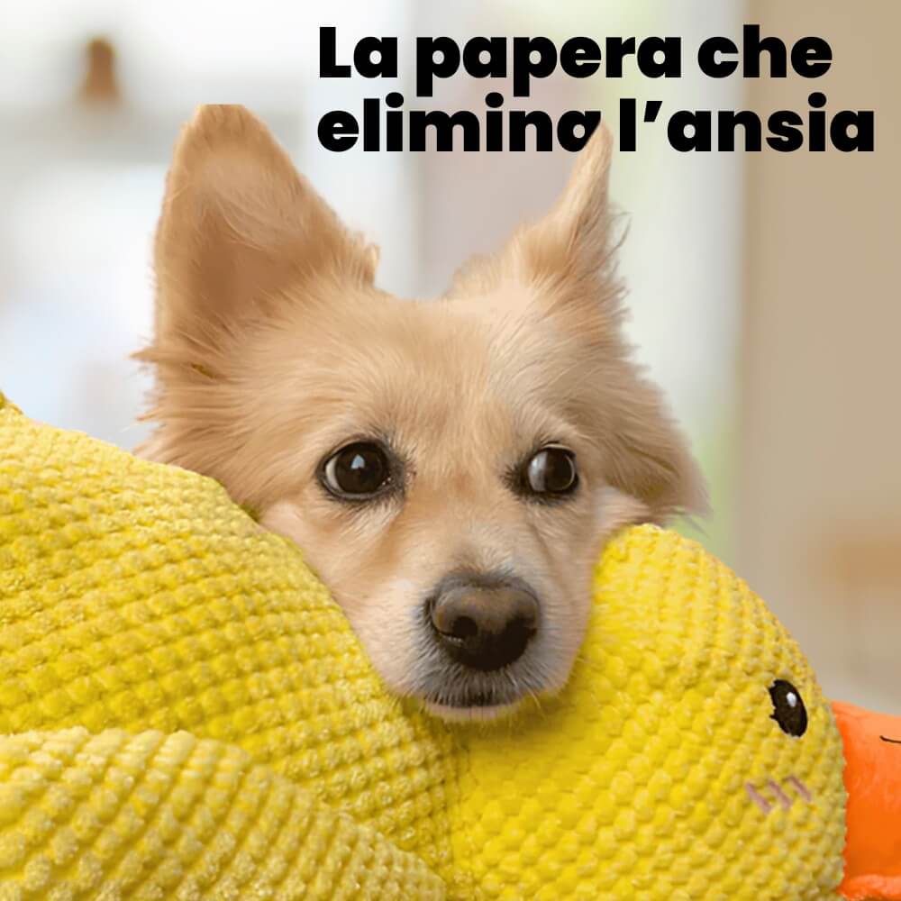 Anti Stress Duck – Bestseller