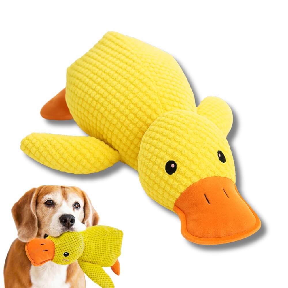 Anti Stress Duck – Bestseller