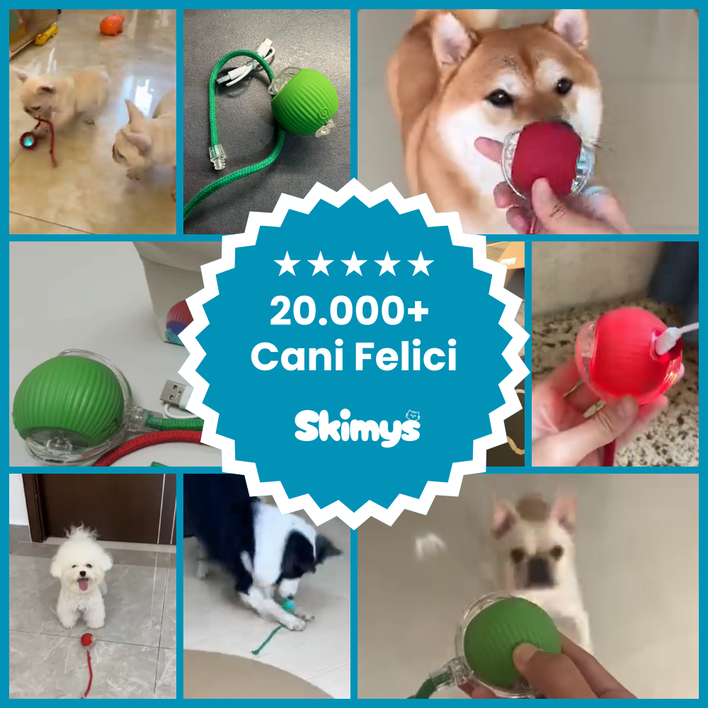 Bola Interactiva Dog Magic - Más vendido