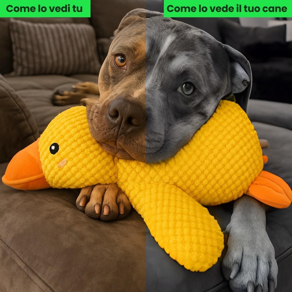Anti Stress Duck – Bestseller