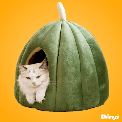 Pumpkin Cat House