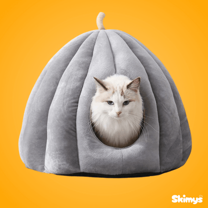 Pumpkin Cat House