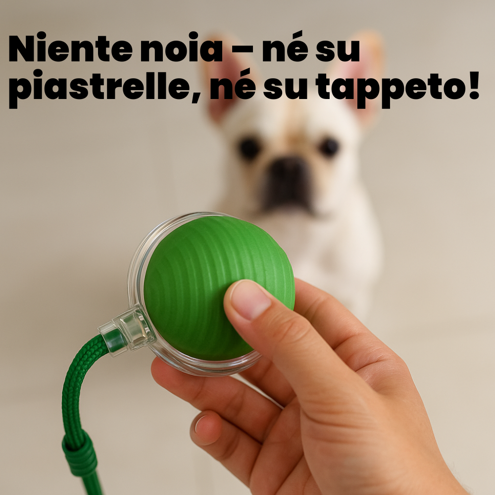Dog Magic Interaktiv Bold - Bestseller