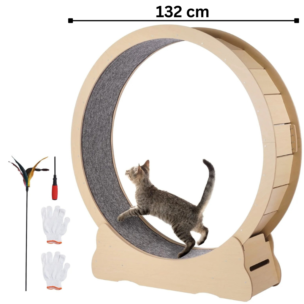 Skimys Cat Exercise Wheel