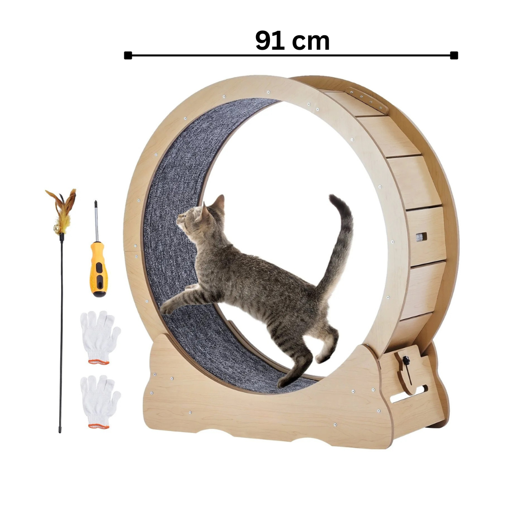 Skimys Cat Exercise Wheel