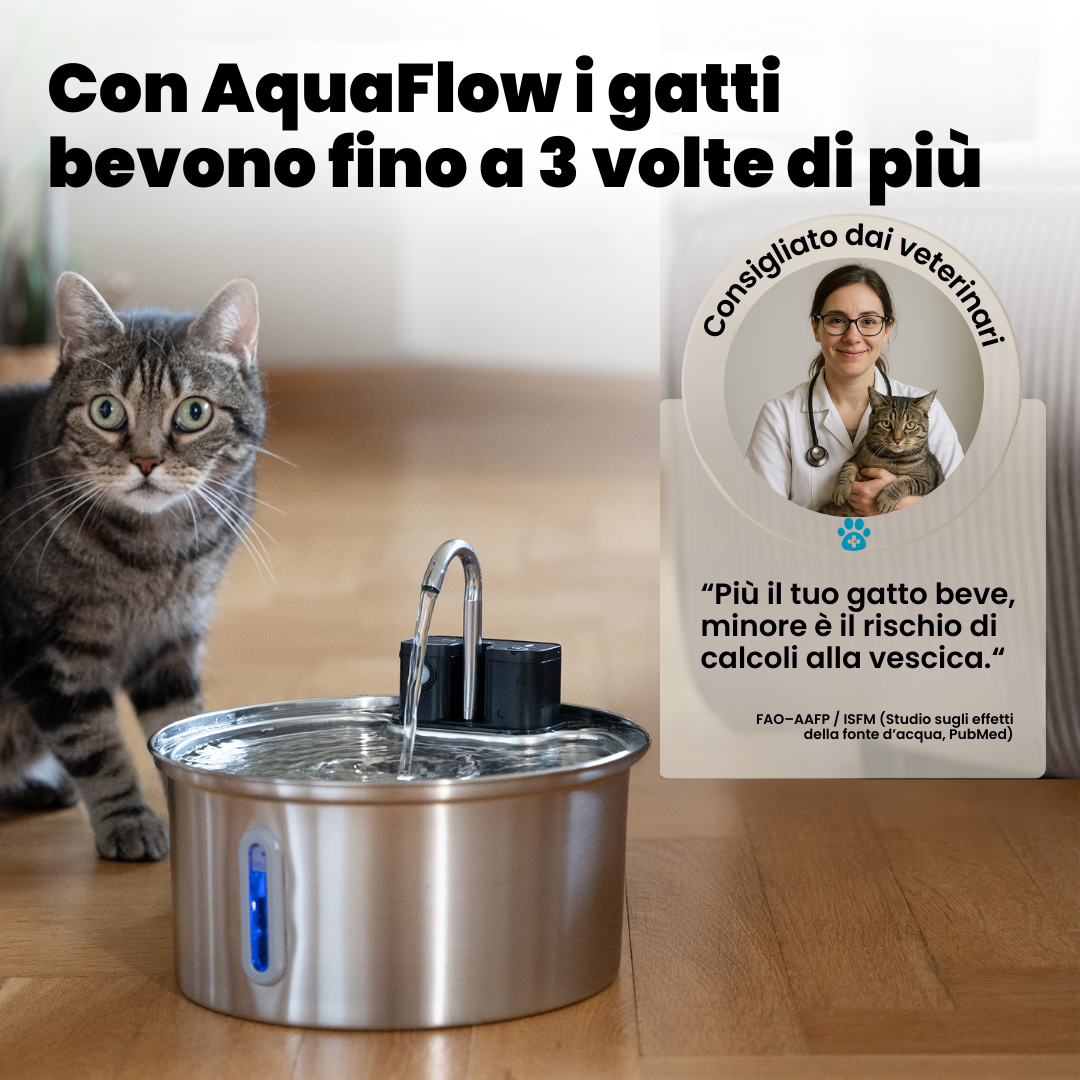 AquaFlow Sense 3.2L – Cat Fountain