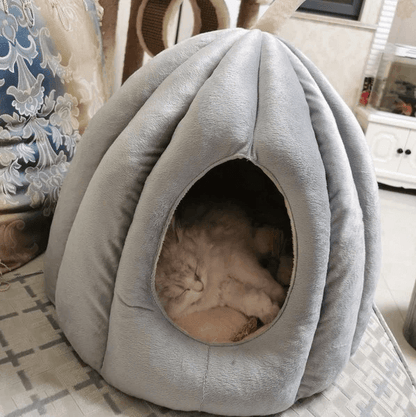 Pumpkin Cat House
