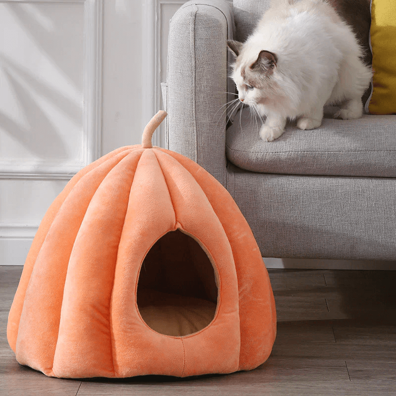 Pumpkin Cat House
