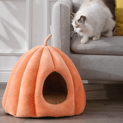 Pumpkin Cat House