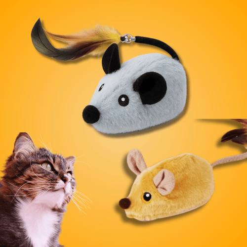 Magic Mouse - Bestseller